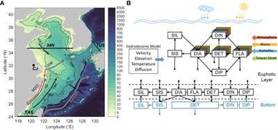 Export production in a continental shelf with multisource nutrient supply